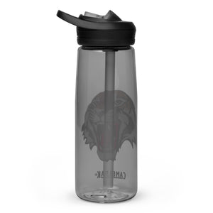 Sports water bottle