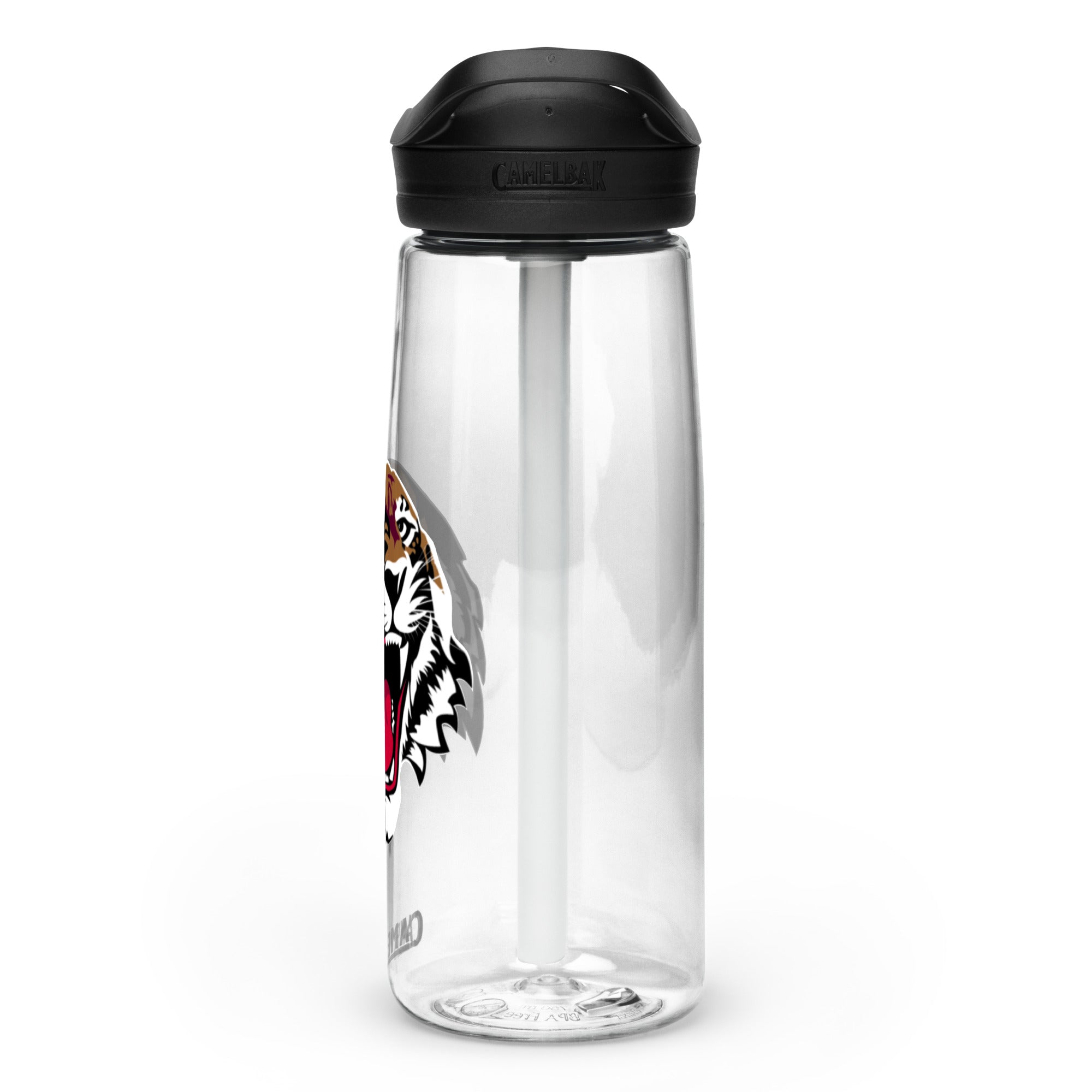 Sports water bottle