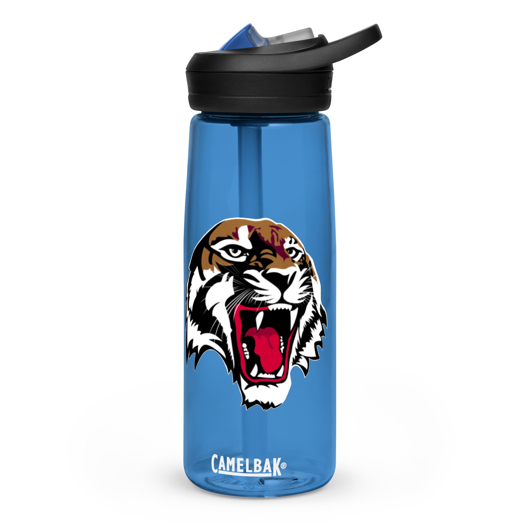 Sports water bottle