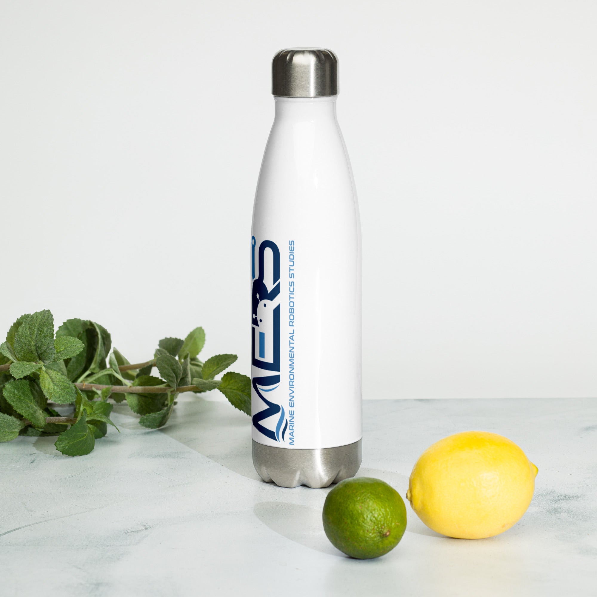 Stainless Steel Water Bottle